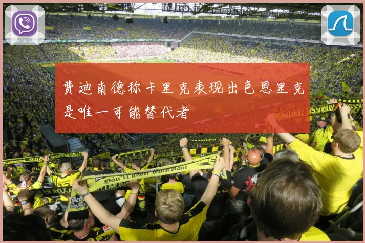 费迪南德称卡里克表现出色恩里克是唯一可能替代者