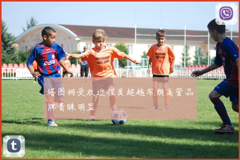 塔图姆受欢迎程度超越布朗高管品牌青睐明显
