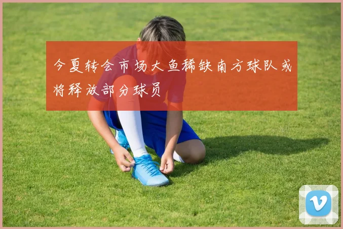 今夏转会市场大鱼稀缺南方球队或将释放部分球员